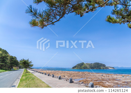 《青森縣》夏泊半島初夏風光 114265124