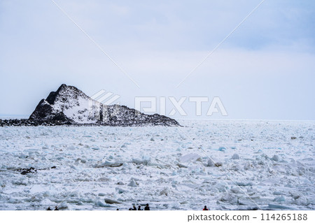 [Hokkaido, Shiretoko] Drift ice in the Sea of Okhotsk 114265188