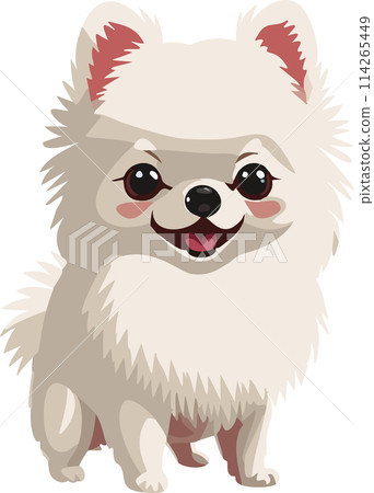 Pomeranian 114265449