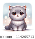 英國短毛貓插畫1 114265713