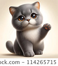 英國短毛貓插畫2 114265715