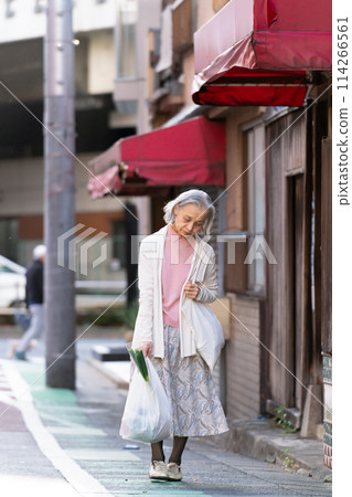 Senior woman shopping 114266561