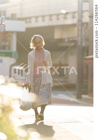 Senior woman shopping 114266564