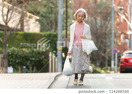 Senior woman shopping 114266580