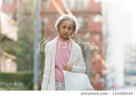 Senior woman shopping 114266584