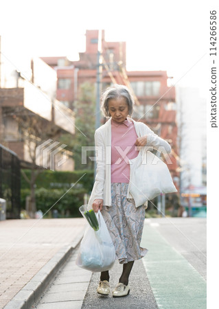 Senior woman shopping 114266586