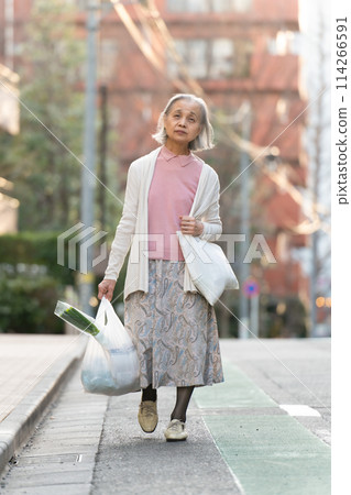 Senior woman shopping 114266591