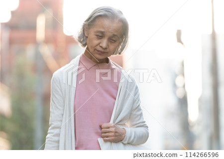 Senior woman shopping Senior woman shopping 114266596