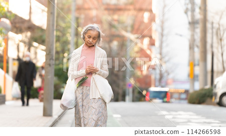 Senior woman shopping 114266598
