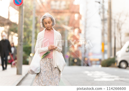 Senior woman shopping 114266600