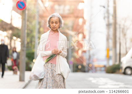 高級女人購物 114266601