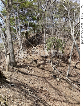 石屋山登山道的連鎖車站 石屋山登山道的連鎖車站 114266753