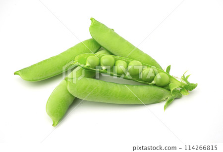 豌豆 114266815