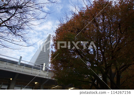 Kanagawa Prefecture cityscape: Yokohama Station East Exit, Shin-Takashima, Minato Mirai evening view 114267156