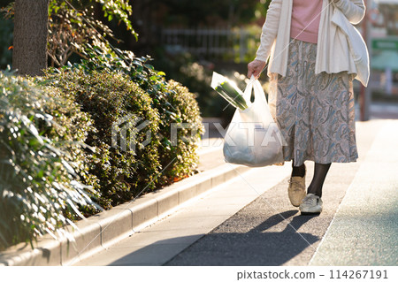 Senior woman shopping at the feet 114267191