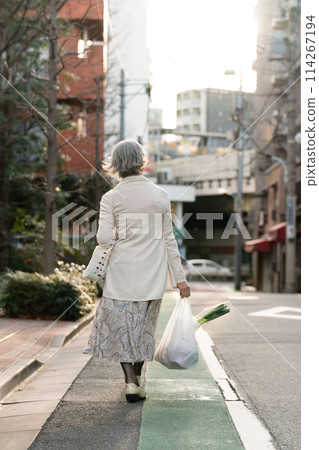 Senior woman shopping, back view Senior woman shopping, back view 114267194