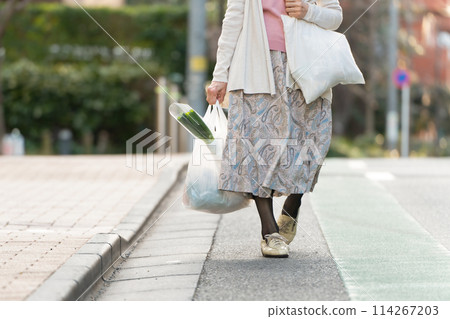 Senior woman shopping at the feet Senior woman shopping at the feet 114267203