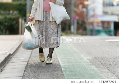 Senior woman shopping at the feet 114267204