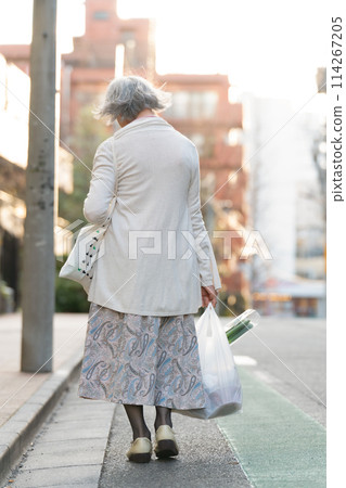 Senior woman shopping, back view 114267205