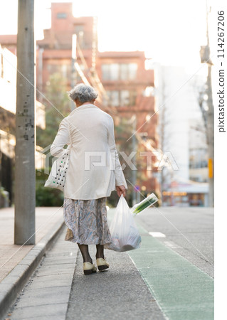 Senior woman shopping, back view 114267206