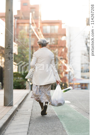 Senior woman shopping, back view 114267208