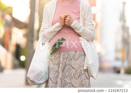 Senior woman shopping at hand Senior woman shopping at hand 114267213