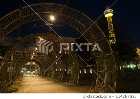 橫濱港未來夜景燈光秀Yorunoyo 114267655