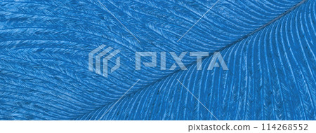 Texture of blue tropical bird feather, background macro. Structure of sapphire fluffy plumage. 114268552