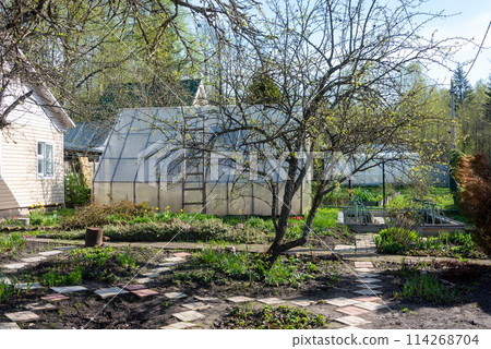 View of the greenhouse next to the cottage garden in early spring. 114268704