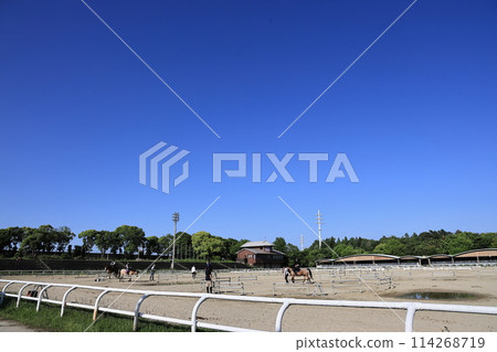 騎馬風景2024_⑥ 騎馬風景2024_⑥ 114268719