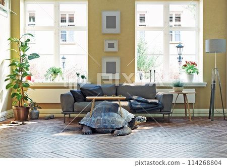 giant turtle as a base of the coffee table. 114268804