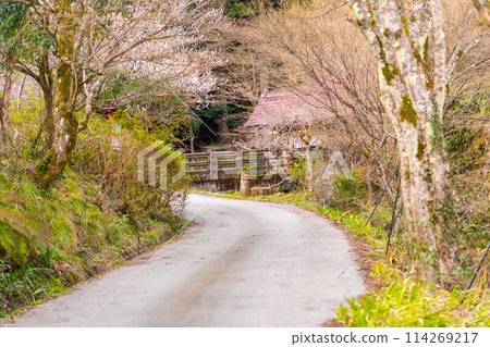 太平山、龍藏寺的參道（兵庫縣丹波筱山市萬安城）*照片位置在作品評論區 114269217