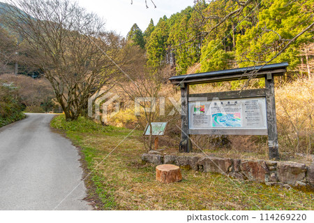 Mount Taihei: The approach to Ryuzoji Temple (Mananjokami, Tanba Sasayama City, Hyogo Prefecture) *Please indicate the location of the photo in the comments section. Mount Taihei: The approach to Ryuzoji Temple (Mananjokami, Tanba Sasayama City, Hyogo Prefecture) *Please indicate the location of the photo in the comments section. 114269220