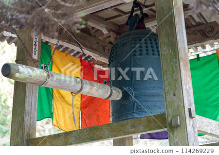 Wildflowers blooming on the approach to Ryuzoji Temple on Mount Taihei (Mananjokami, Tanba Sasayama City, Hyogo Prefecture) *Please indicate the location of the photo in the comments section. 114269229