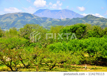 View of Mt. Iizuna from the Chikuma River riverbed (Obuse Town) (Obuse Town, Nagano Prefecture) [May 2024] 114270113