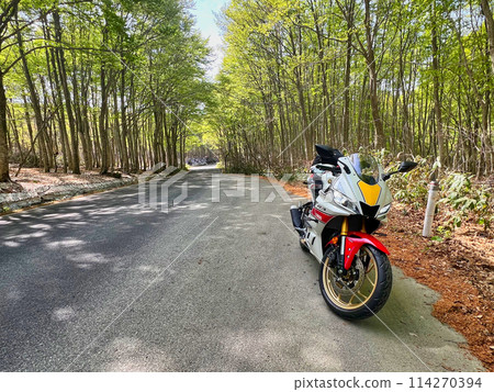 Spring Tour of Mt. Hakkoda 114270394