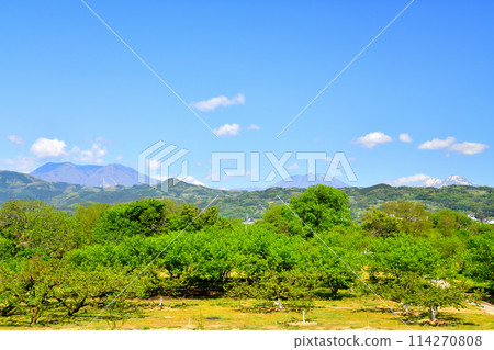 View of Mt. Iizuna, Mt. Kurohime, and Mt. Myoko from the Chikuma River riverbed (Obuse Town) (Obuse Town, Nagano Prefecture) [May 2024] 114270808