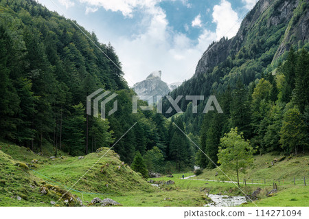 Lush mountain valley of Swiss Alps in Seealpsee at Appenzell, Switzerland 114271094