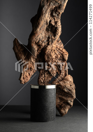 Black empty podium and dried snag on a black background. 114271499