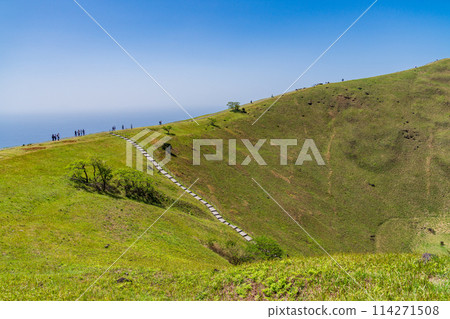 (Shizuoka Prefecture) People walking along the mountaintop promenade of Mt. Omuroyama, amidst the fresh greenery of the mountain 114271508
