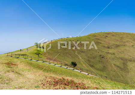 (Shizuoka Prefecture) People walking along the mountaintop promenade of Mt. Omuroyama, amidst the fresh greenery of the mountain 114271513