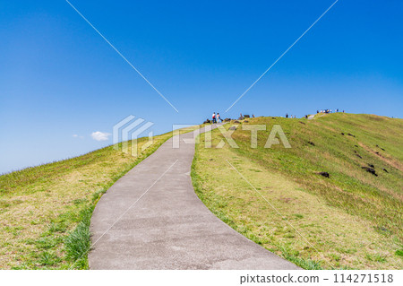 （靜岡縣）在新綠色的大室山和山頂散步道上行走的人們 114271518