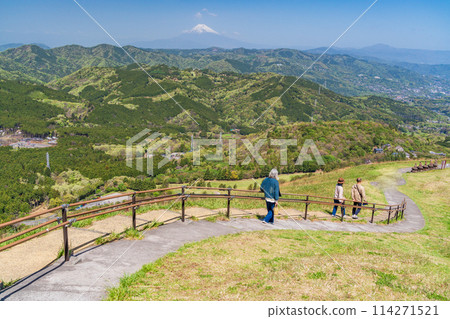 （靜岡縣）在新綠色的大室山和山頂散步道上行走的人們 114271521