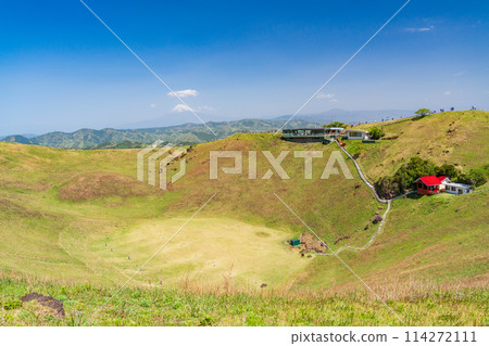 (Shizuoka Prefecture) Fresh greenery at the summit of Mt. Omuroyama with Mt. Fuji in the background 114272111