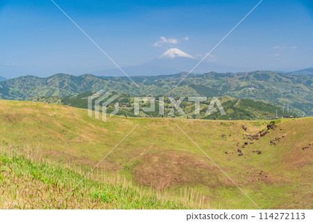(Shizuoka Prefecture) Fresh greenery at the summit of Mt. Omuroyama with Mt. Fuji in the background (Shizuoka Prefecture) Fresh greenery at the summit of Mt. Omuroyama with Mt. Fuji in the background 114272113