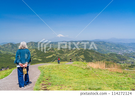 （靜岡縣）鮮綠的大室山，山頂和富士山的景色 114272124