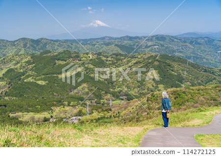 （靜岡縣）鮮綠的大室山，山頂和富士山的景色 114272125