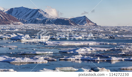 Davy Sound on the northeast coast of Greenland 114272230