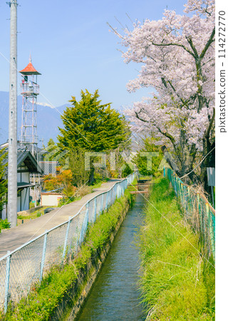 田園風光[春天安曇野] 114272770