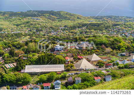 （靜岡縣）從大室山頂眺望的伊豆仙人掌動物園 114273263